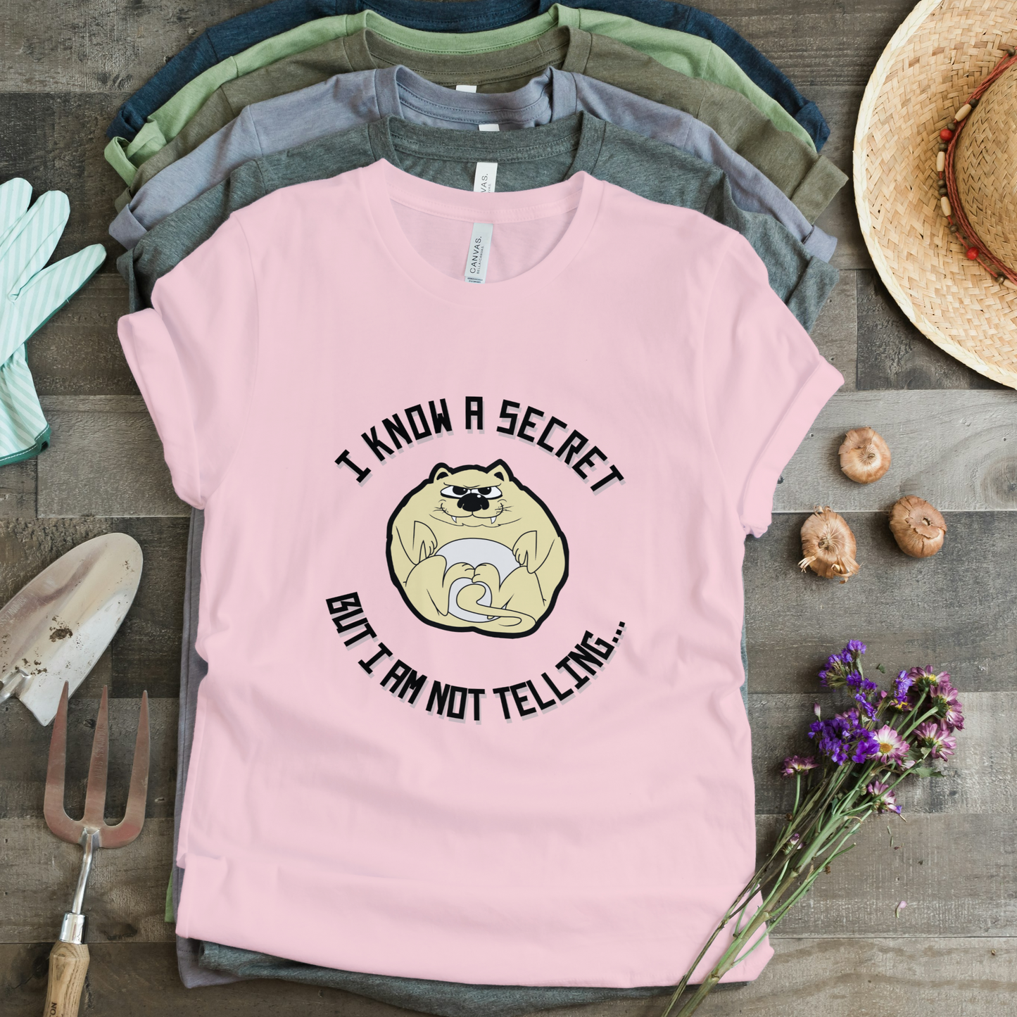 I Know A Secret But I Am Not Telling Half Sleeves T-Shirt